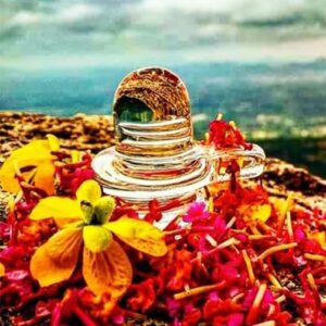 Crystal Shibling (Sphatik Shibling)- (T. Banerjee Gems)