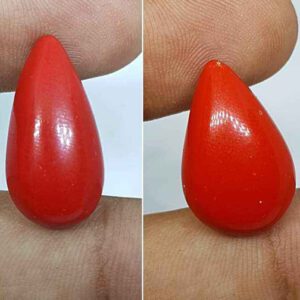 Gemstones 21 Red Coral (রক্ত প্রবাল) {T Banerjee Gems / Certified Gemstone Supplier}