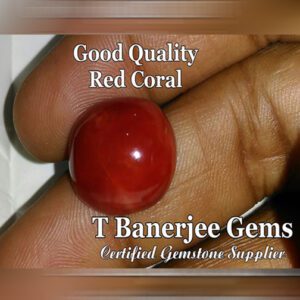 Gemstones 20 Red Coral (রক্ত প্রবাল) {T Banerjee Gems / Certified Gemstone Supplier}