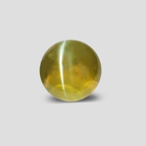 Cat’s Eye Stone {T Banerjee Gems / Certified Gemstone Supplier}