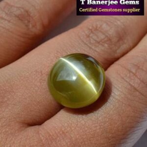 Gemstones 81 Cats Eye Gemstone (ANDHRA) {T Banerjee Gems / Certified Gemstone Supplier}