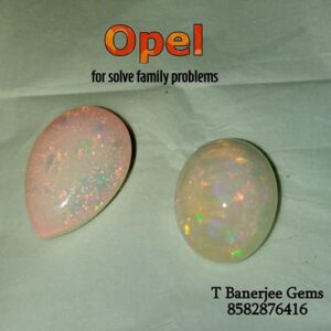 Gemstones 58 Opal Gemstone (ওপাল পাথর) {T Banerjee Gems / Certified Gemstone Supplier}