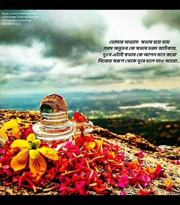 Crystal Shibling (Sphatik Shibling) for Eleminate EVIL 5 Read more about the article Crystal Shibling (Sphatik Shibling) for Eleminate EVIL